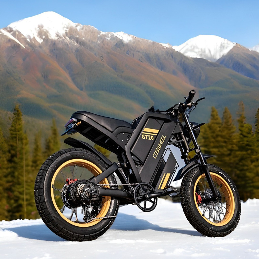 Coswheel Electric bike for Adu - Motorcycle Gear Online incelemesi ve fiyatı